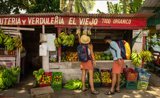 5 Tropical Destinations Perfect for Your Next Adventure