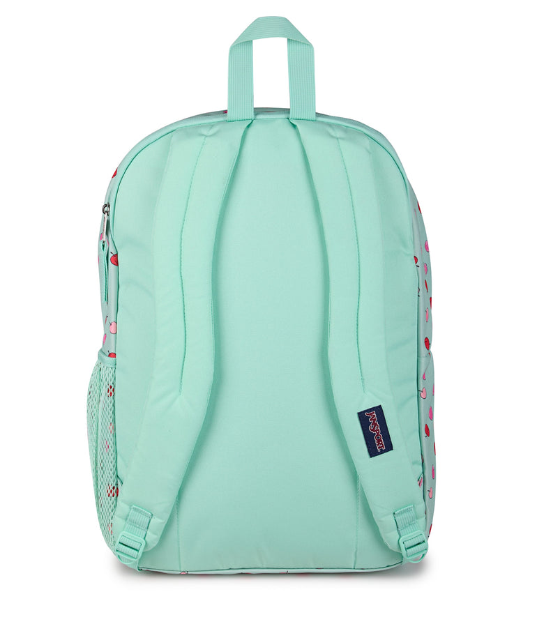 JanSport Big Student Backpack - Apple Orchard Magic Mint