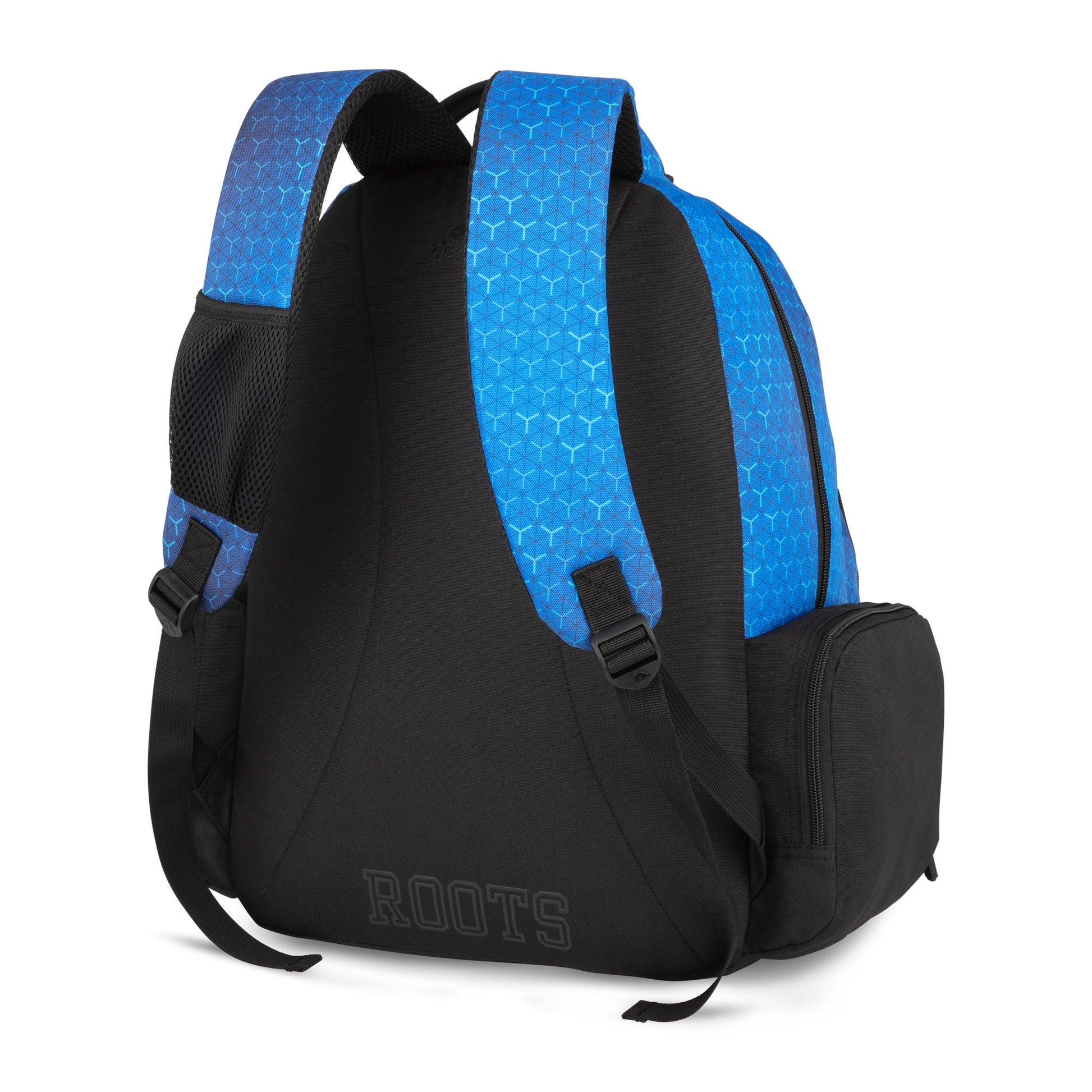 Roots 15.6" Computer Backpack - Blue Print