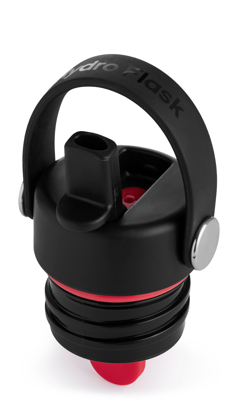 Hydro Flask 21oz Capuchon à paille flexible standard