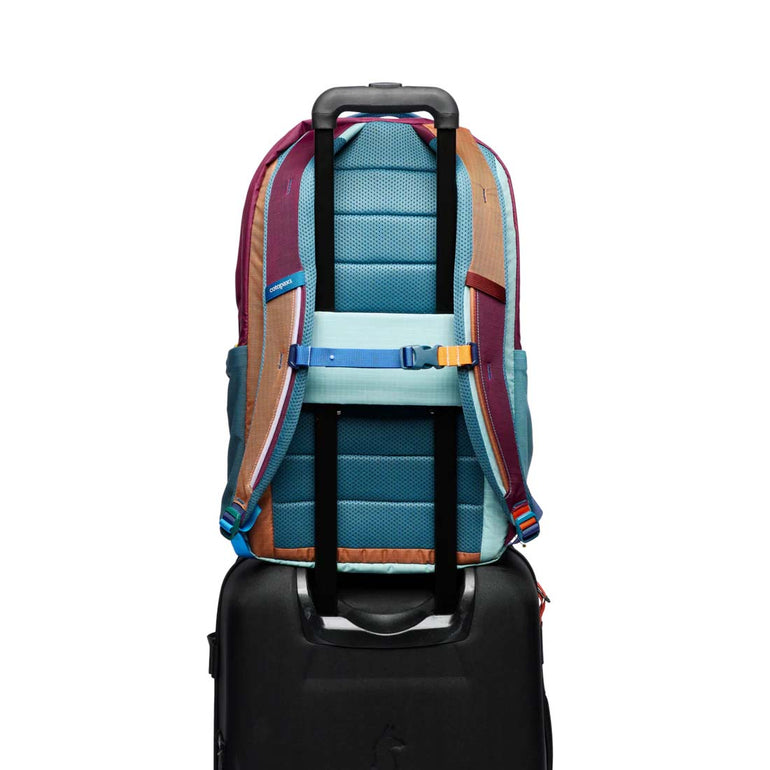 Cotopaxi Backpacks Del Dia Cotopaxi Allpa 26L Daypack - Del Dia