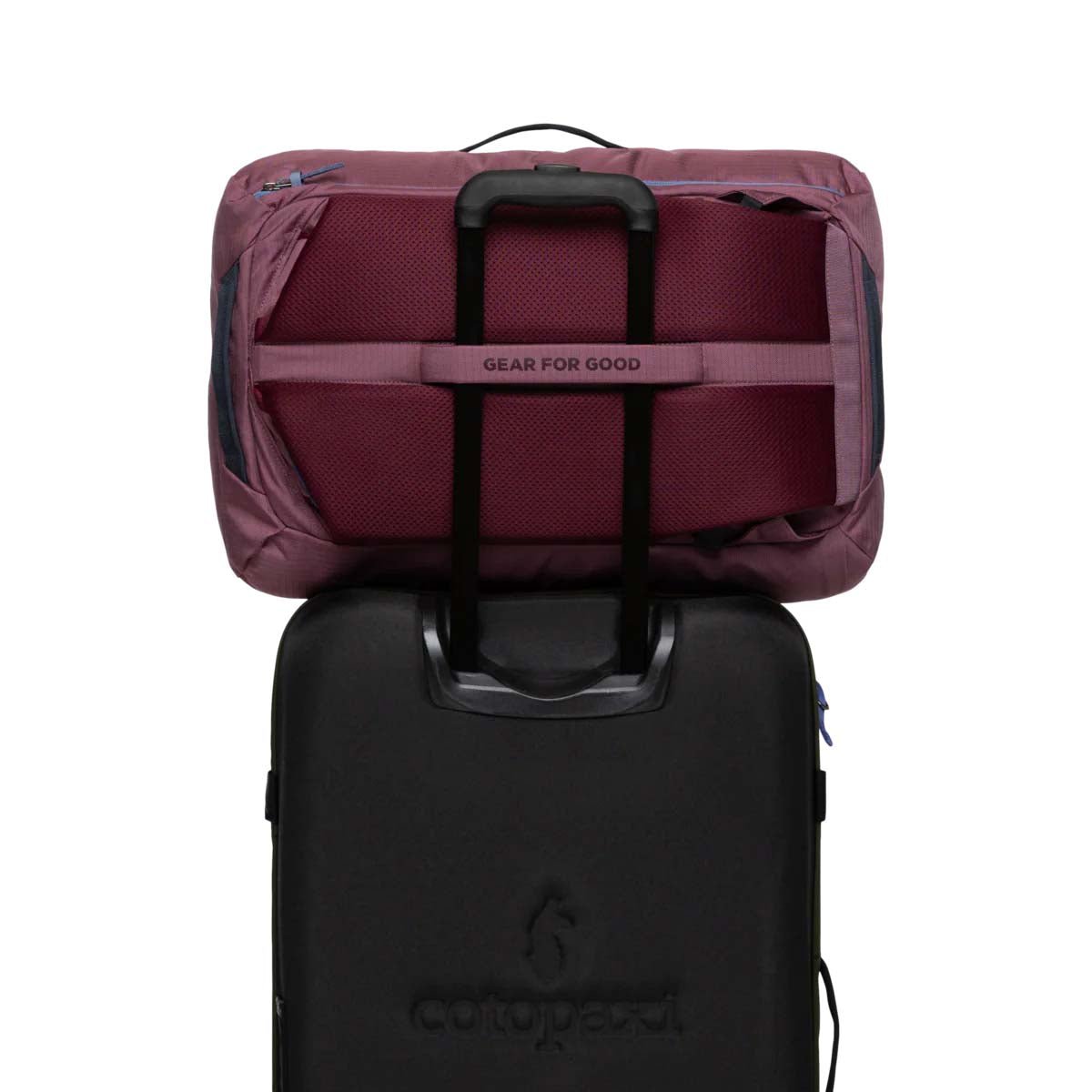Cotopaxi Backpacks Fig Cotopaxi Allpa 35L Travel Pack - Fig