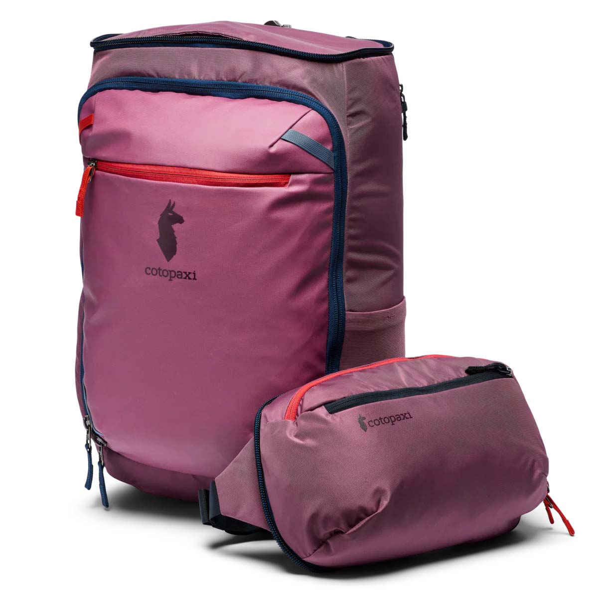 Cotopaxi Backpacks Fig Cotopaxi Allpa 50L Adventure Travel Pack - Fig