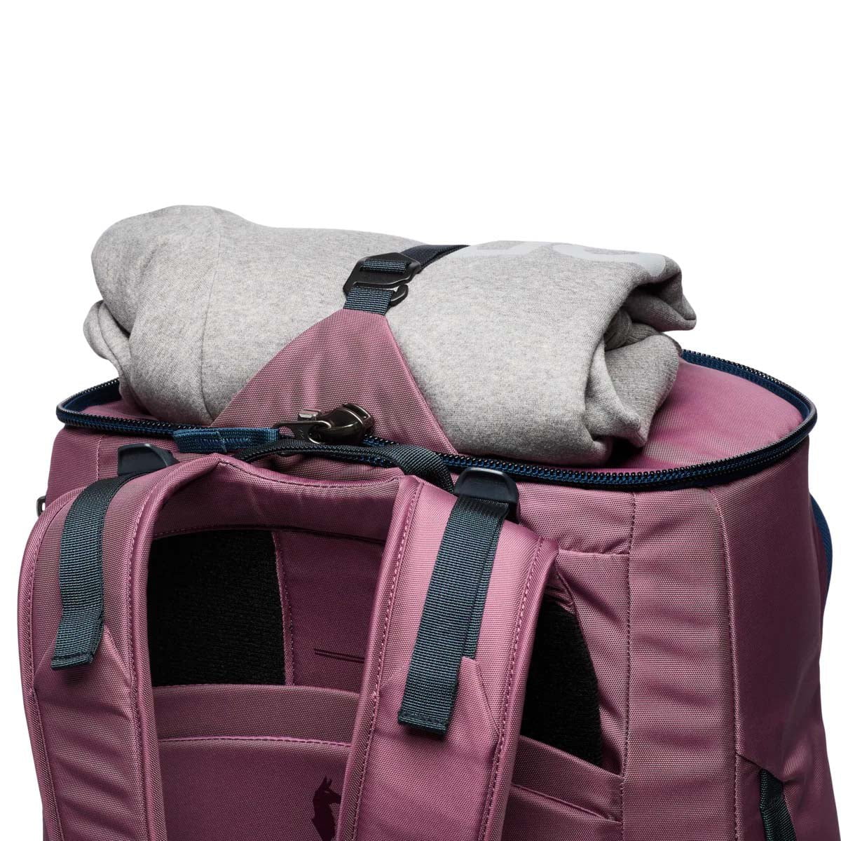 Cotopaxi Backpacks Fig Cotopaxi Allpa 50L Adventure Travel Pack - Fig