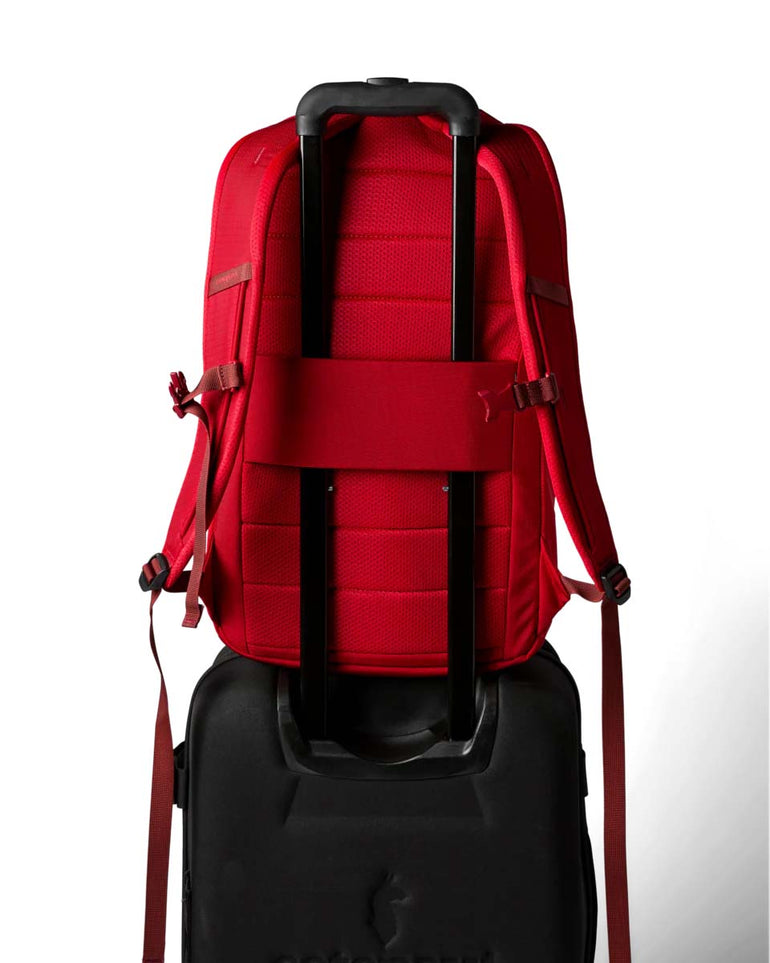 Cotopaxi Backpacks Spicy Cotopaxi Allpa 26L Daypack - Spicy