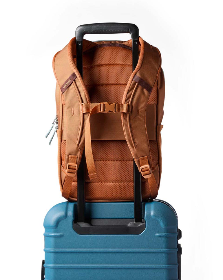 Cotopaxi Backpacks Whiskey Cotopaxi Allpa 18L Daypack - Whiskey