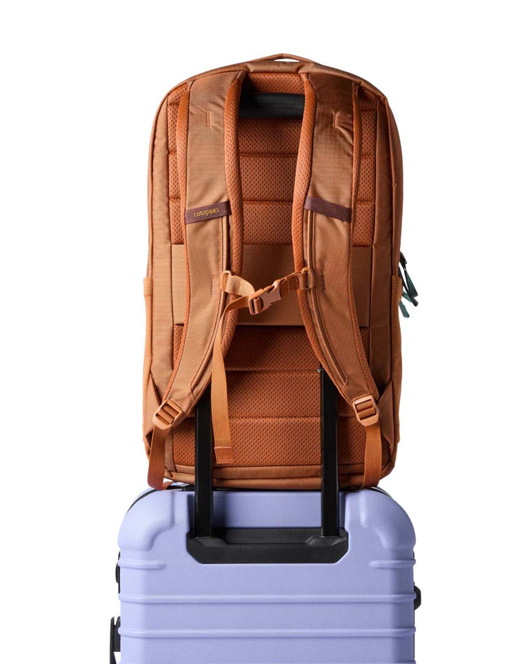 Cotopaxi Backpacks Whiskey Cotopaxi Allpa 26L Daypack - Whiskey