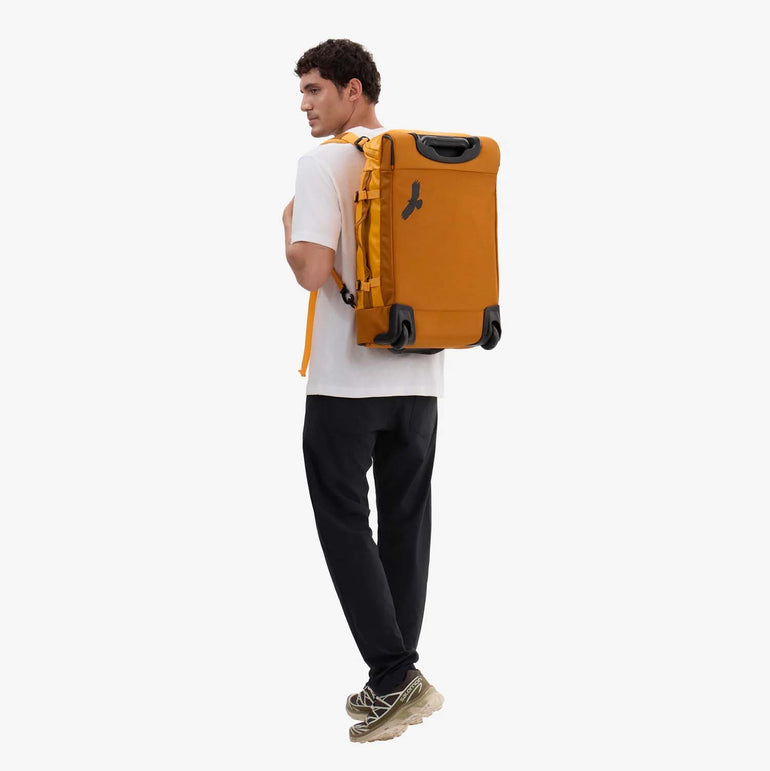 Eagle Creek Luggage Eagle Creek Cargo Hauler 2 Wheeled Carry-On Luggage