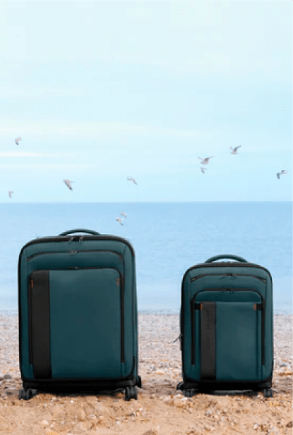 Valise rigide 65 cm Papillon Madisson - Bagage pas cher Valise rigide 65 cm Papillon Madisson - Bagage pas cher