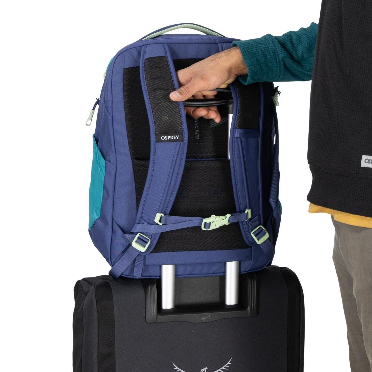 Osprey Backpacks Blue Spikemoss/Alkaline Osprey Daylite Expandable Travel Pack 26+6 - Blue Spikemoss/Alkaline