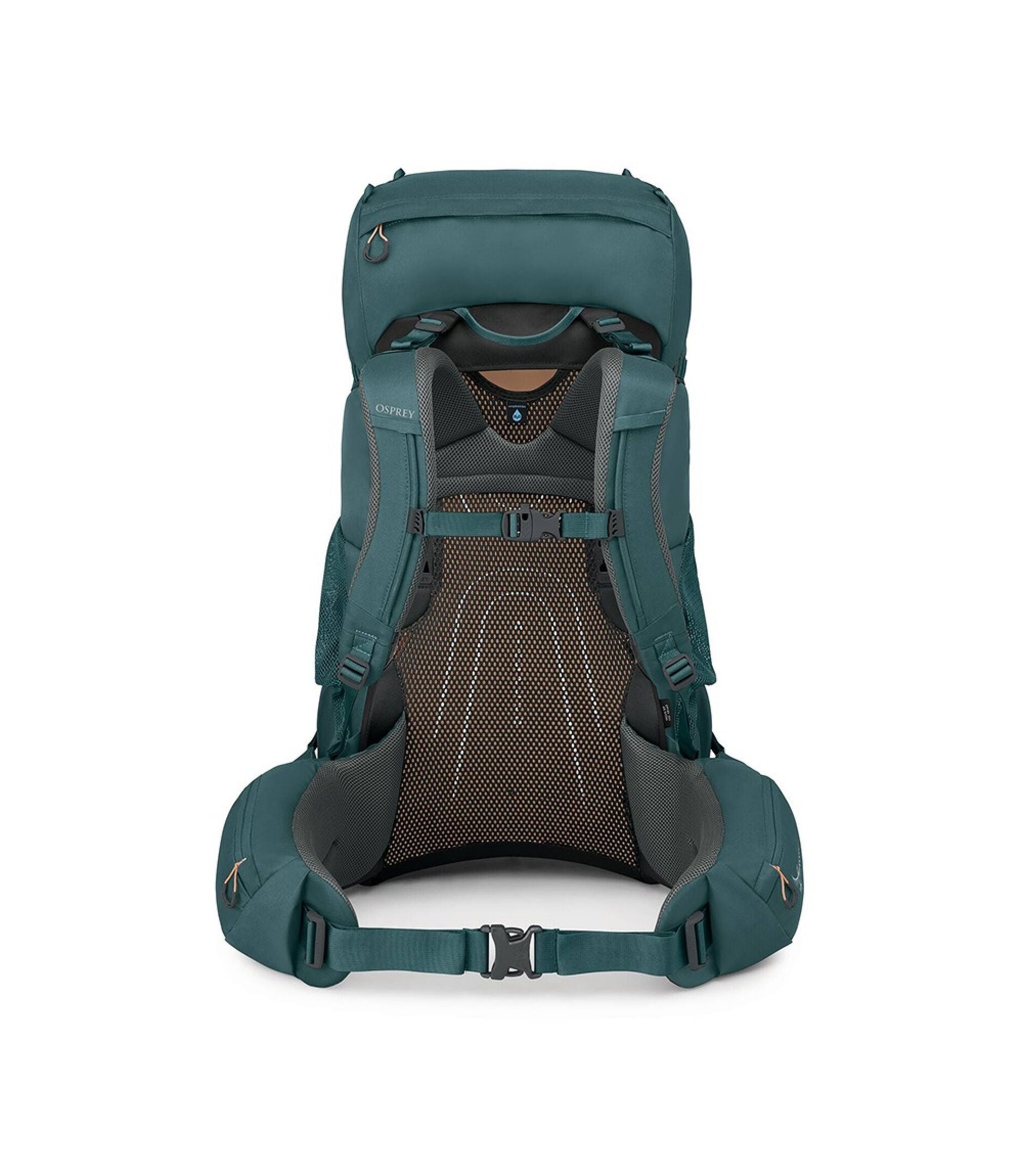 Osprey Backpacks Cascade Blue/Melon Orange Osprey Renn 65L Extended Fit