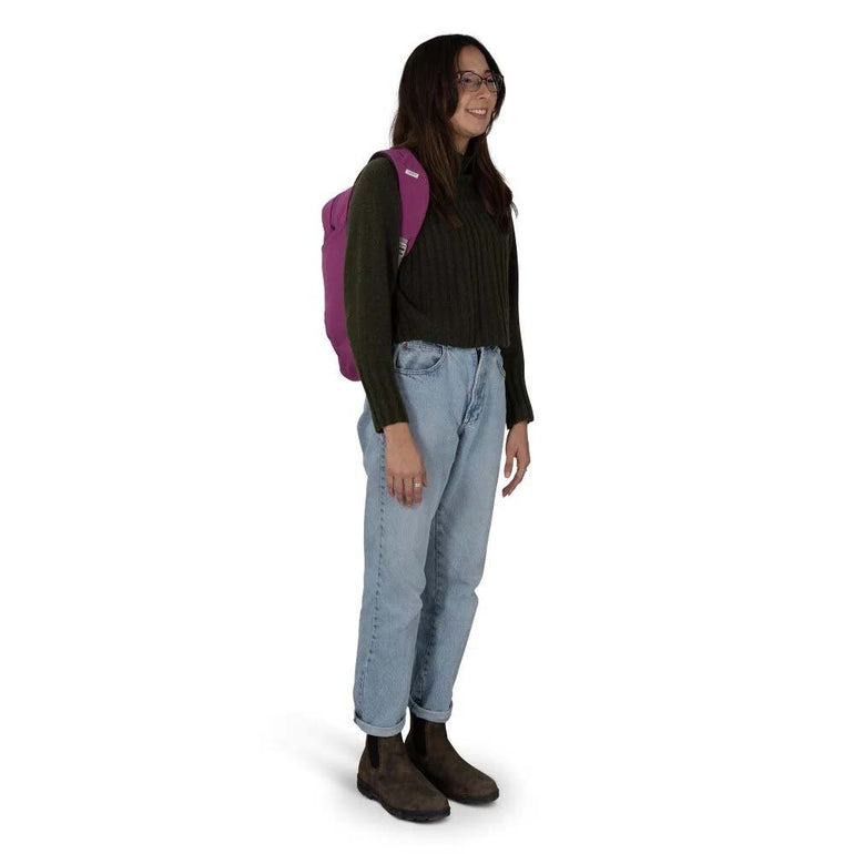 Osprey Backpacks Osprey Arcane Large Day