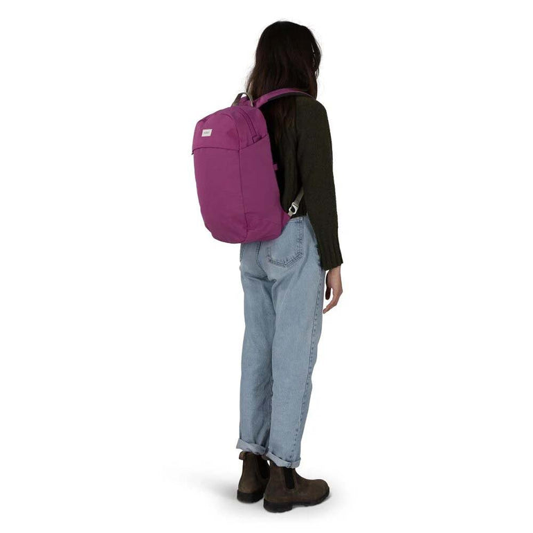Osprey Backpacks Osprey Arcane Large Day