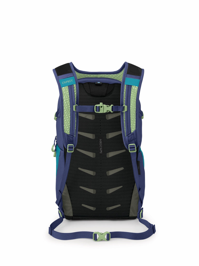 Osprey Backpacks Osprey Daylite Plus Everyday Backpack