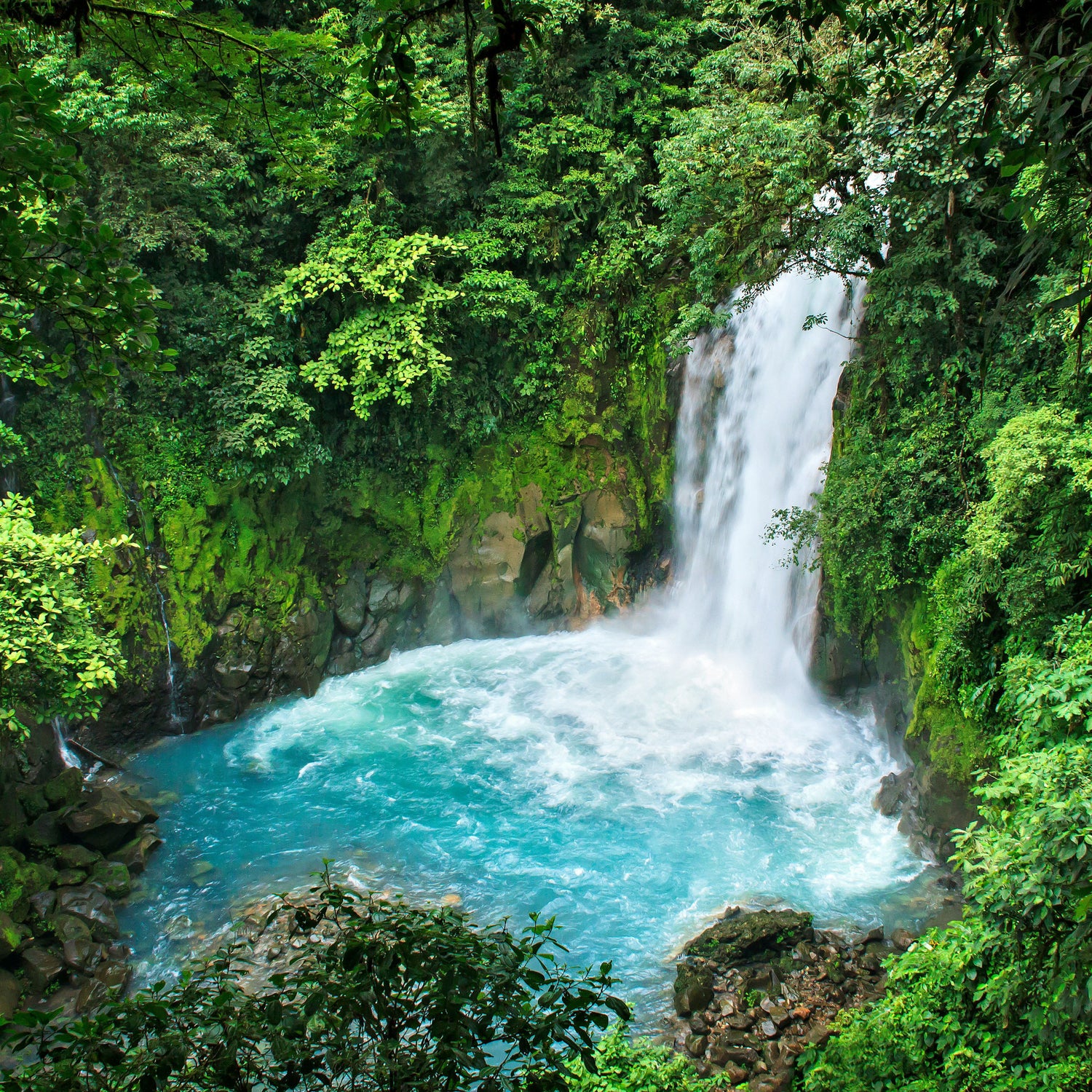 Photo by <a href="https://unsplash.com/@sterlinglanier?utm_source=unsplash&utm_medium=referral&utm_content=creditCopyText">Sterling Lanier</a> on <a href="https://unsplash.com/photos/water-falls-in-the-middle-of-green-trees-WDBqiHt3tNo?utm_source=unsplash&utm_medium=referral&utm_content=creditCopyText">Unsplash</a>
      