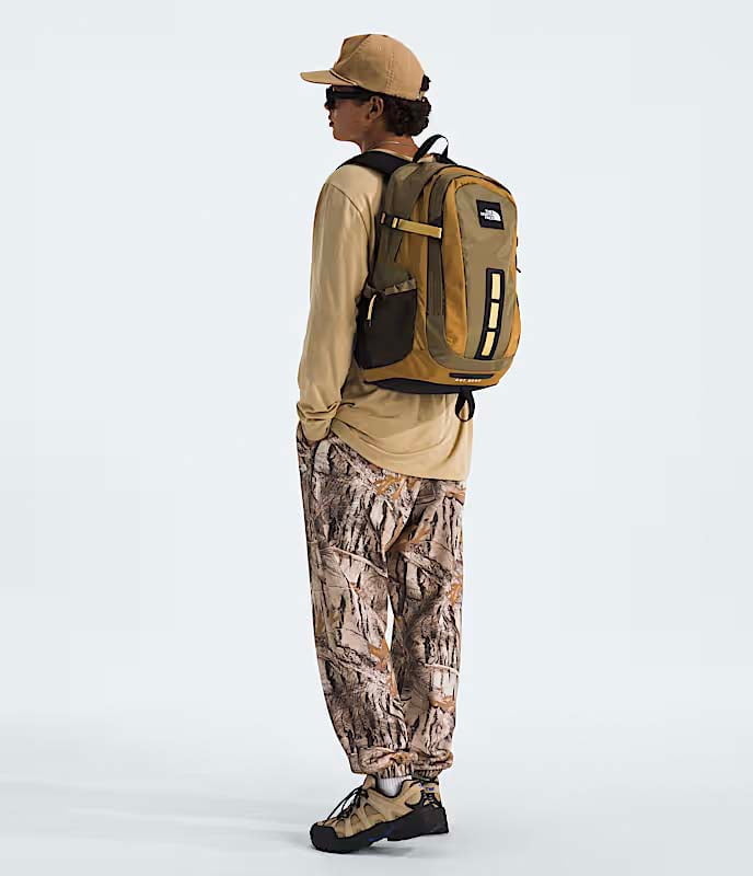The North Face Backpacks The North Face Hot Shot SE