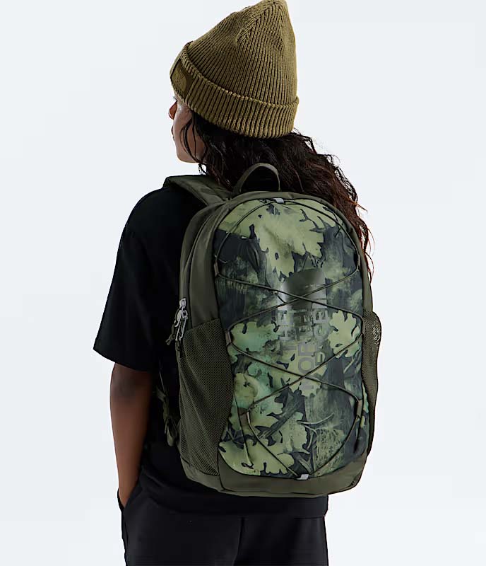 The North Face Backpacks The North Face Youth Court Jester Backpack