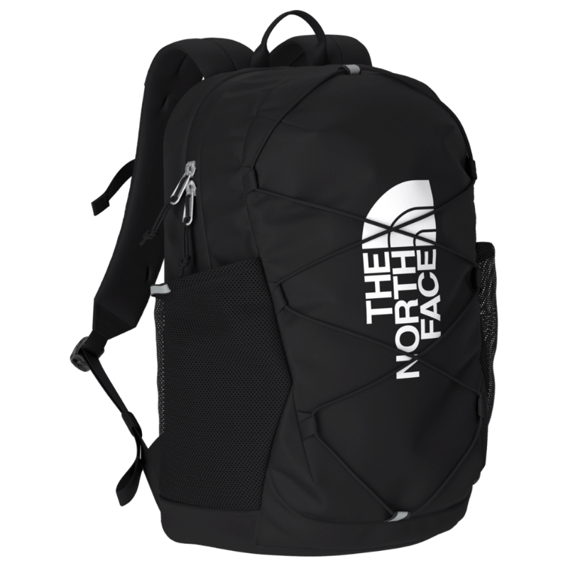 The North Face Backpacks The North Face Youth Court Jester Backpack