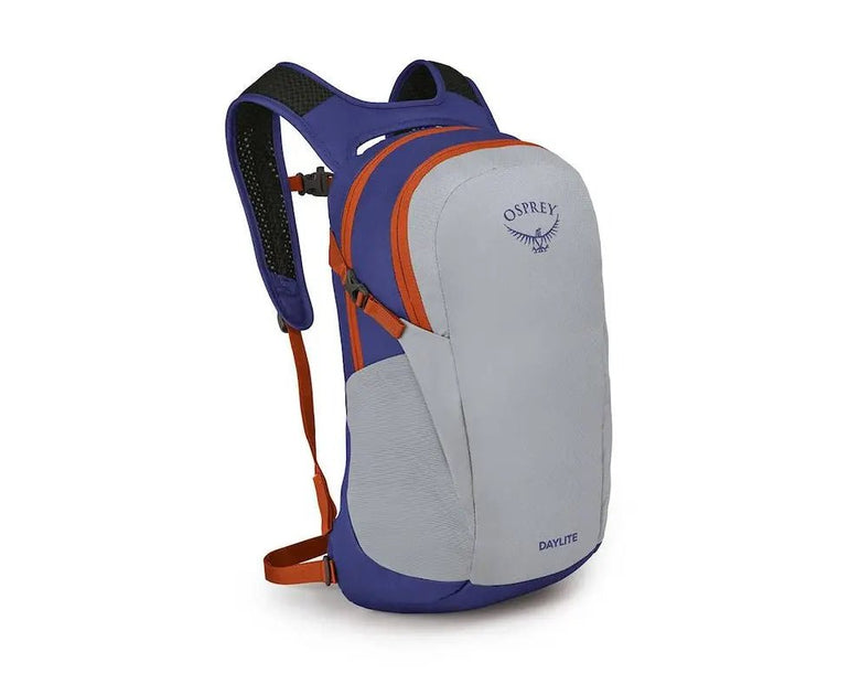 Osprey Daylite Everyday Backpack - Silver Lining/Blueberry