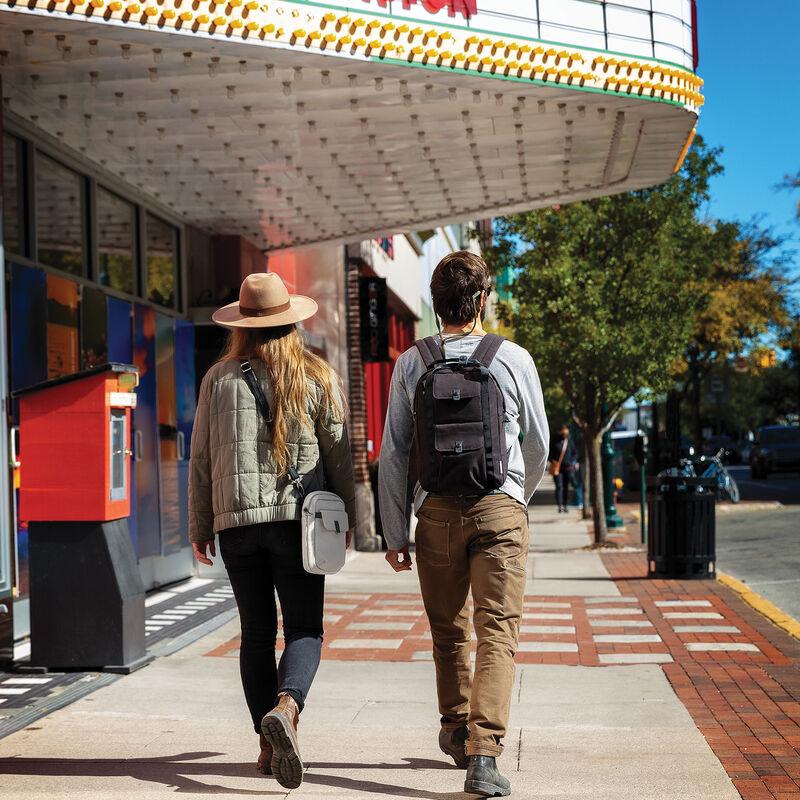 Travelon Origin Sustainable Antimicrobial Anti-Theft Daypack